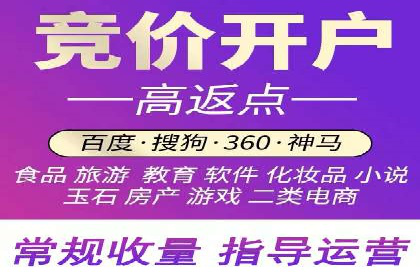 高效SEM竞价技巧，案例教学揭秘